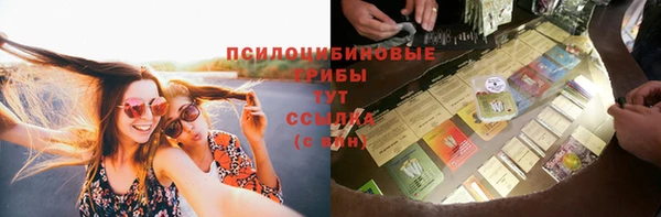 амф Балахна