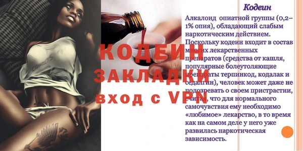 дмт Бородино