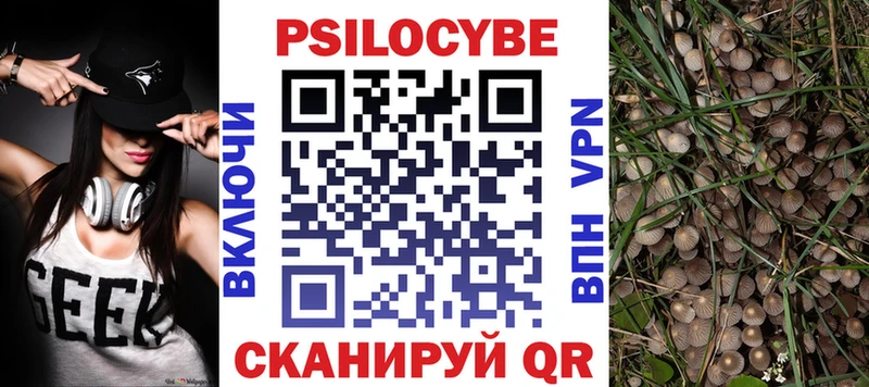 Галлюциногенные грибы Cubensis  Новая Ладога 